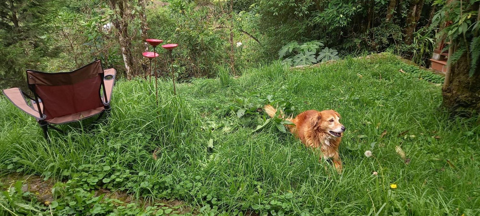 Finca Petrona Calacali Εξωτερικό φωτογραφία