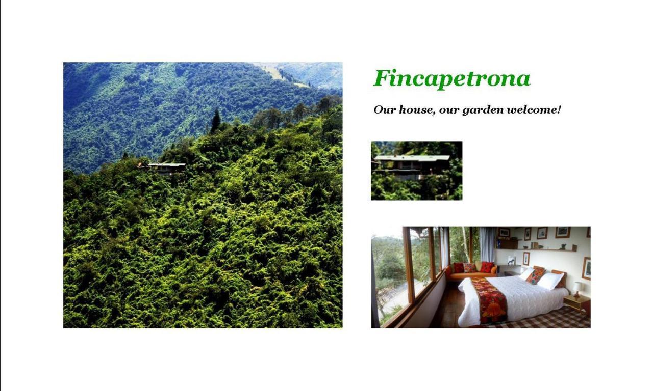 Finca Petrona Calacali Εξωτερικό φωτογραφία